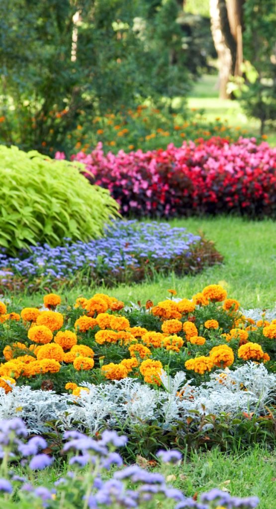 Montgomery County Landscaping Company