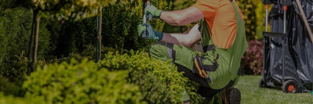Landscaping